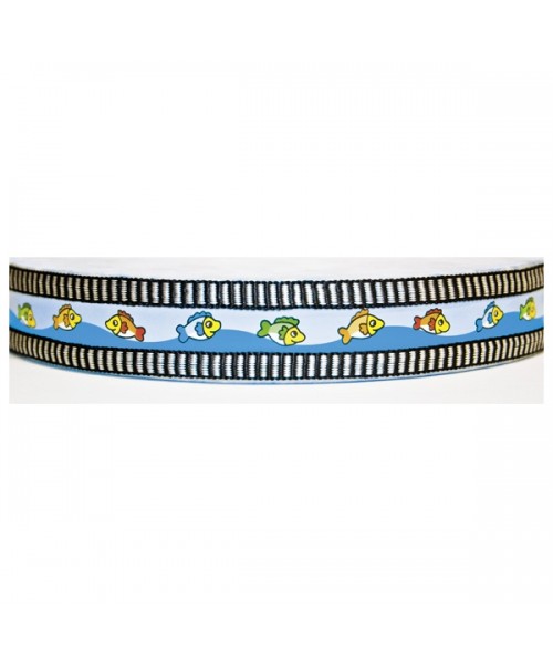 Tambor del océano 2