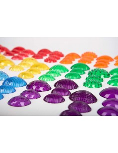 Surtido conchas táctiles transparentes 2