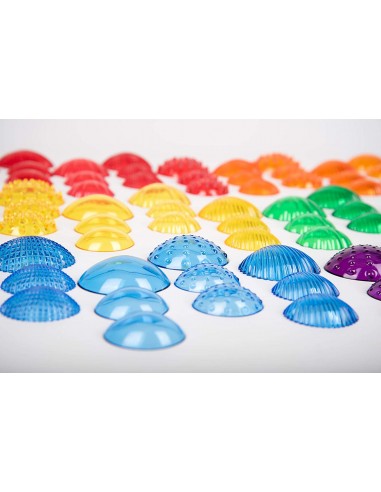 Surtido conchas táctiles transparentes