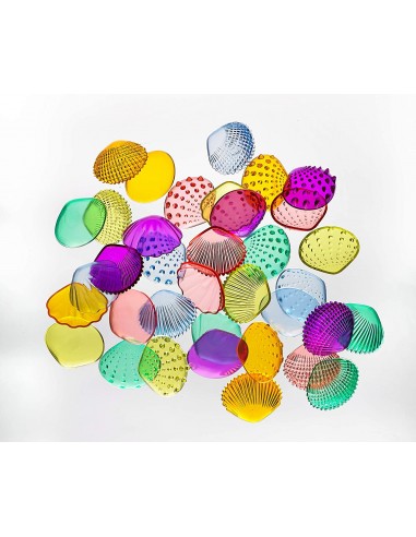 Surtido conchas táctiles transparentes