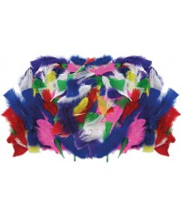 Bolsa 100 Plumas de Collage