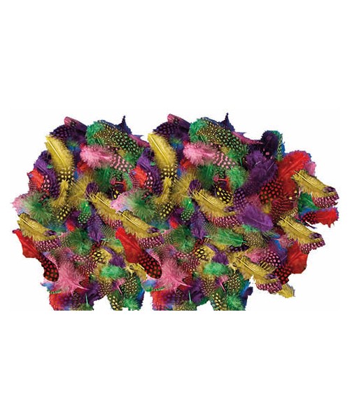 Bolsa 100 Plumas decoradas