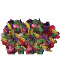 Bolsa 100 Plumas decoradas