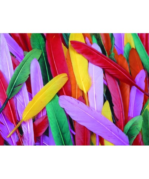 Bolsa 240 Plumas indios colores