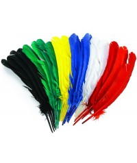 Bolsa 24 Plumas indios gigantes