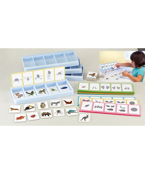 Taller clasificación los animales