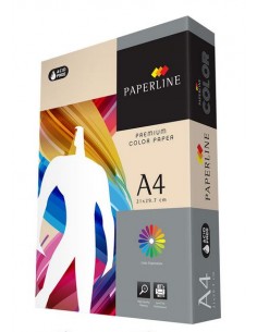 Folios Marfil palido 500 hojas