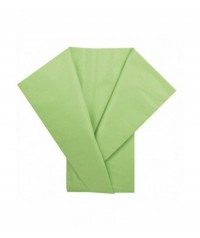 Papel seda mano 25 pliegos verde