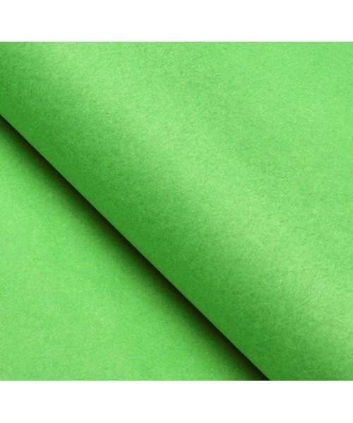 Papel seda mano 25 pliegos verde 2