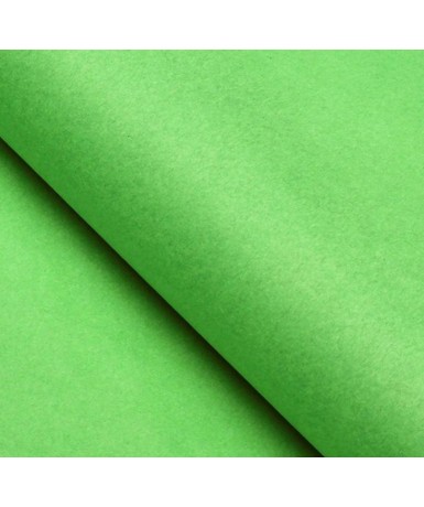 Papel seda mano 25 pliegos verde