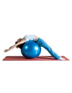 Pelota gigante de rehabilitación 85 cm.