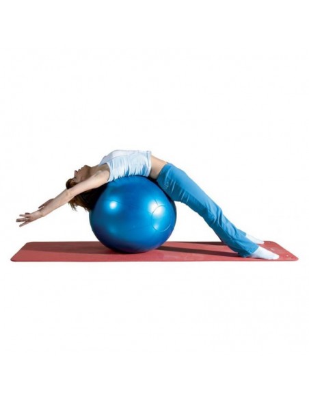 Pelota gigante de rehabilitación 85 cm.