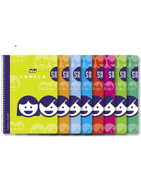 Cuadernos cuadrovia 1/4 - 5 mm.