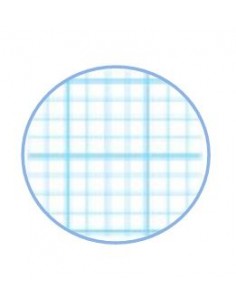 Cuaderno cuadrovia polipropileno cuadro 3 mm. 2