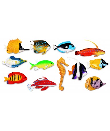 Peces clasificación - 60 und.