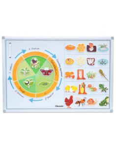 Ciclo de la vida animales magnético