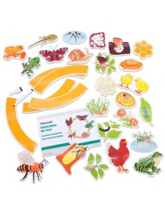 Ciclo de la vida animales magnético 2