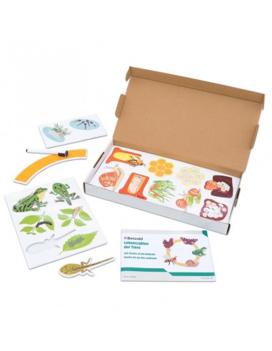 Ciclo de la vida animales magnético