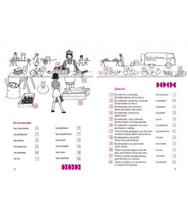 MINI ARCO - El mundo que nos rodea 1