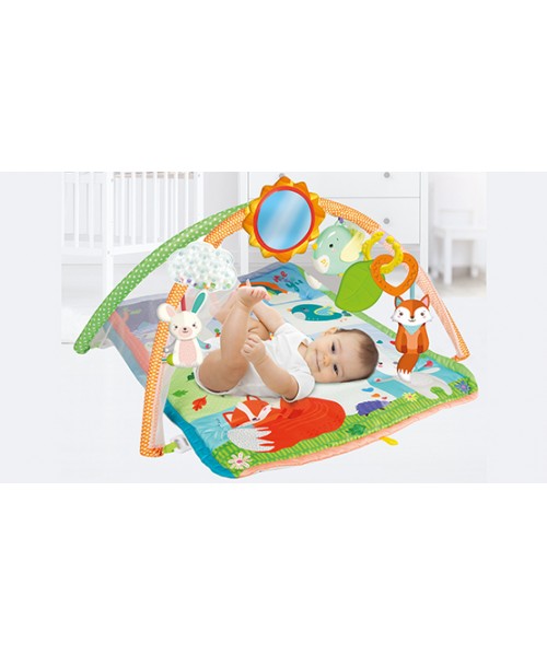 Manta gimnasio actividades 2