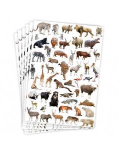 Gomets temáticos selva - 300 pegatinas 2