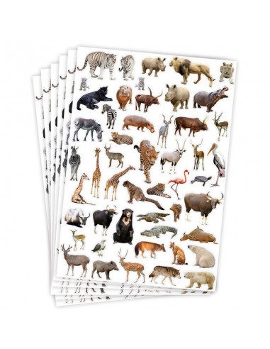 Gomets temáticos selva - 300 pegatinas