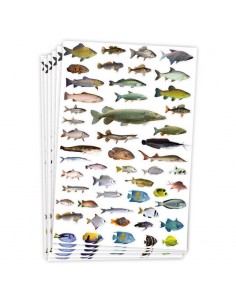 Gomets temáticos peces - 300 pegatinas 2