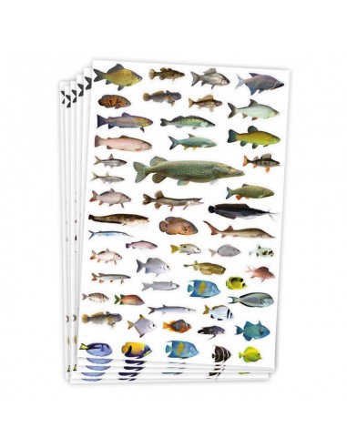 Gomets temáticos peces - 300 pegatinas