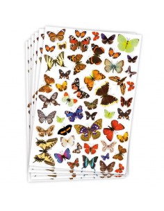 Gomets temáticos mariposas - 300 pegatinas