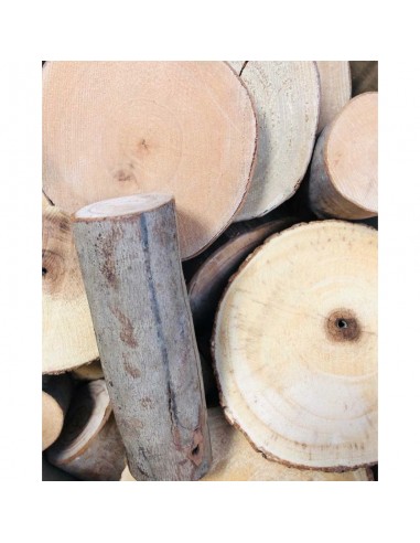 Gran construcción de troncos