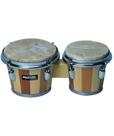 Juego bongos escuela