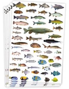 Gomets temáticos peces - 300 pegatinas