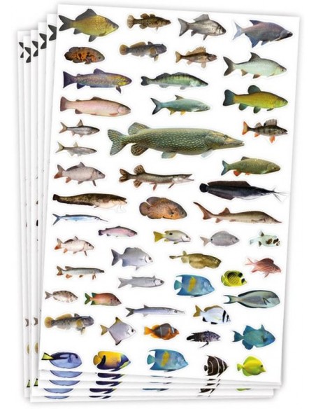 Gomets temáticos peces - 300 pegatinas