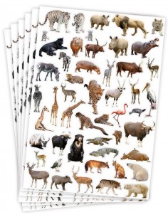 Gomets temáticos selva - 300 pegatinas