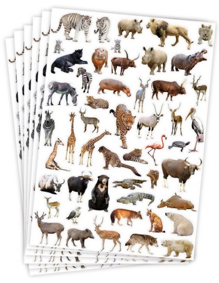 Gomets temáticos selva - 300 pegatinas