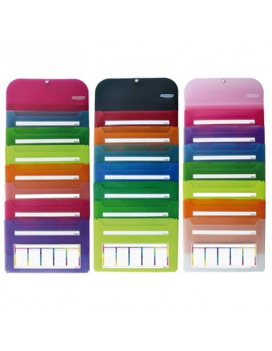 Organizador desplegable surtido 7 divisiones