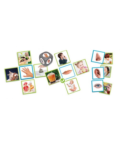 Los 5 sentidos. Akros