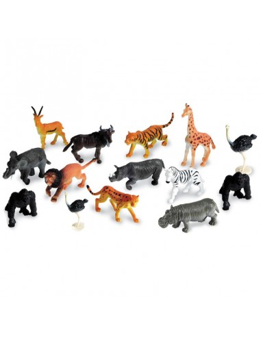 Animales clasificación