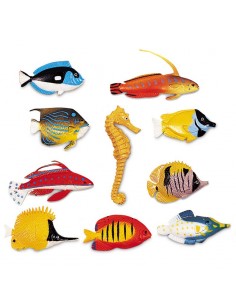 Peces clasificación - 60 und. 2