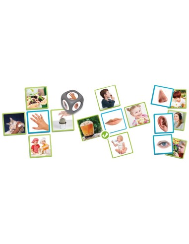 Los 5 sentidos. Akros