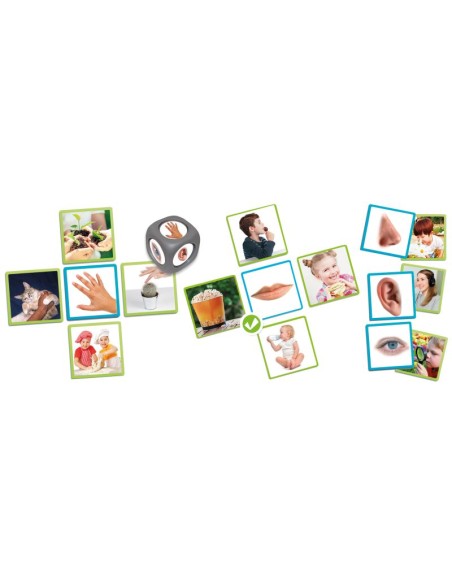 Los 5 sentidos. Akros