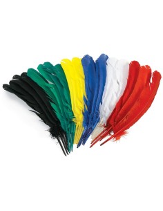 Bolsa 24 Plumas indios gigantes 2