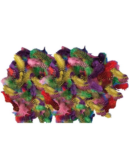 Bolsa 100 Plumas decoradas