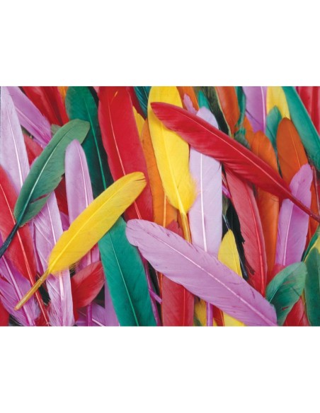 Bolsa 240 Plumas indios colores