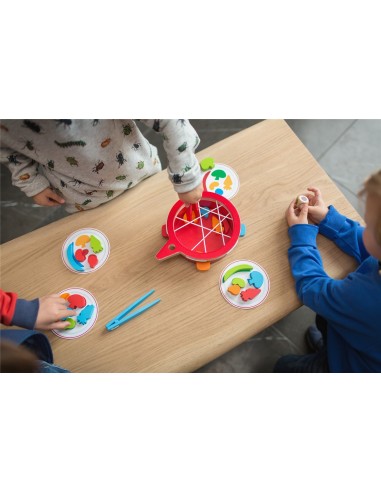 VERDURAS EN EL PLATO