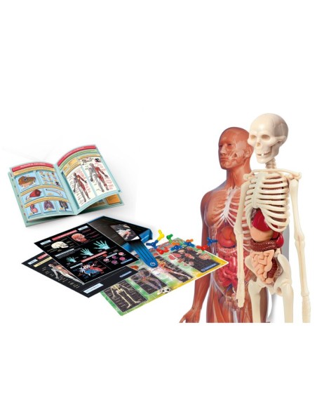 Laboratorio de anatomía