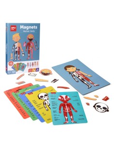 Cuerpo humano magnético