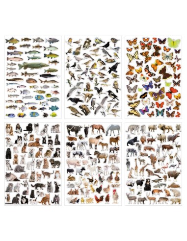 Pegatinas temáticas Zoo 300 pegatinas