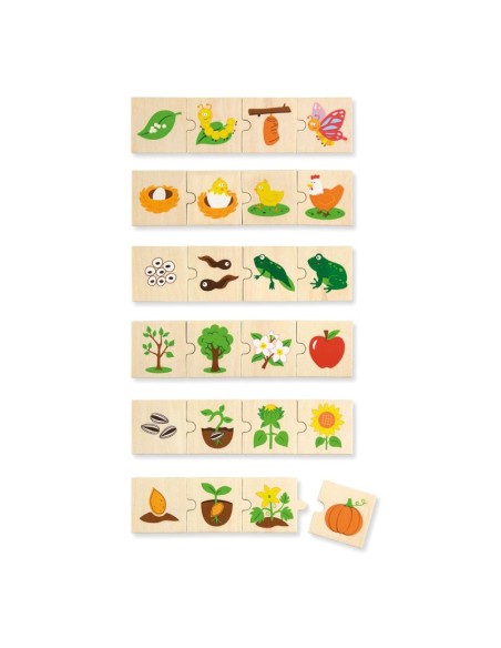 Puzles ciclo de la vida