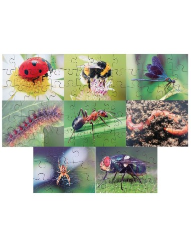 8 Puzzles insectos